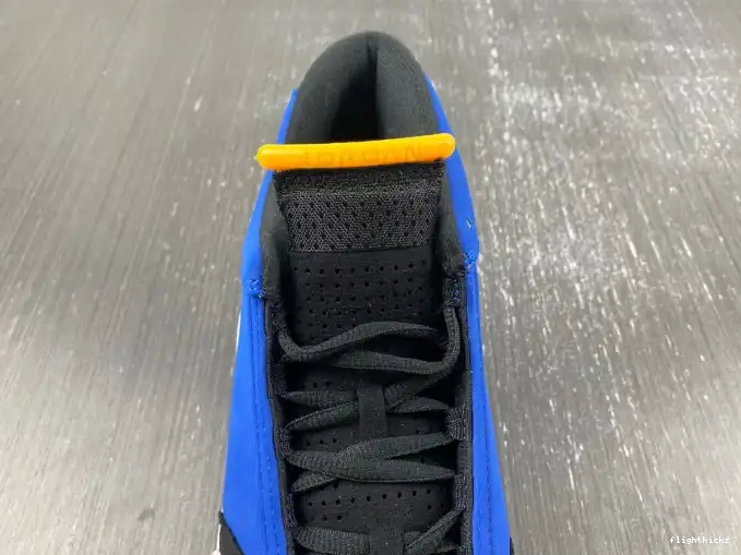 Laney 14 Jordan 487471-407 Retro 0505